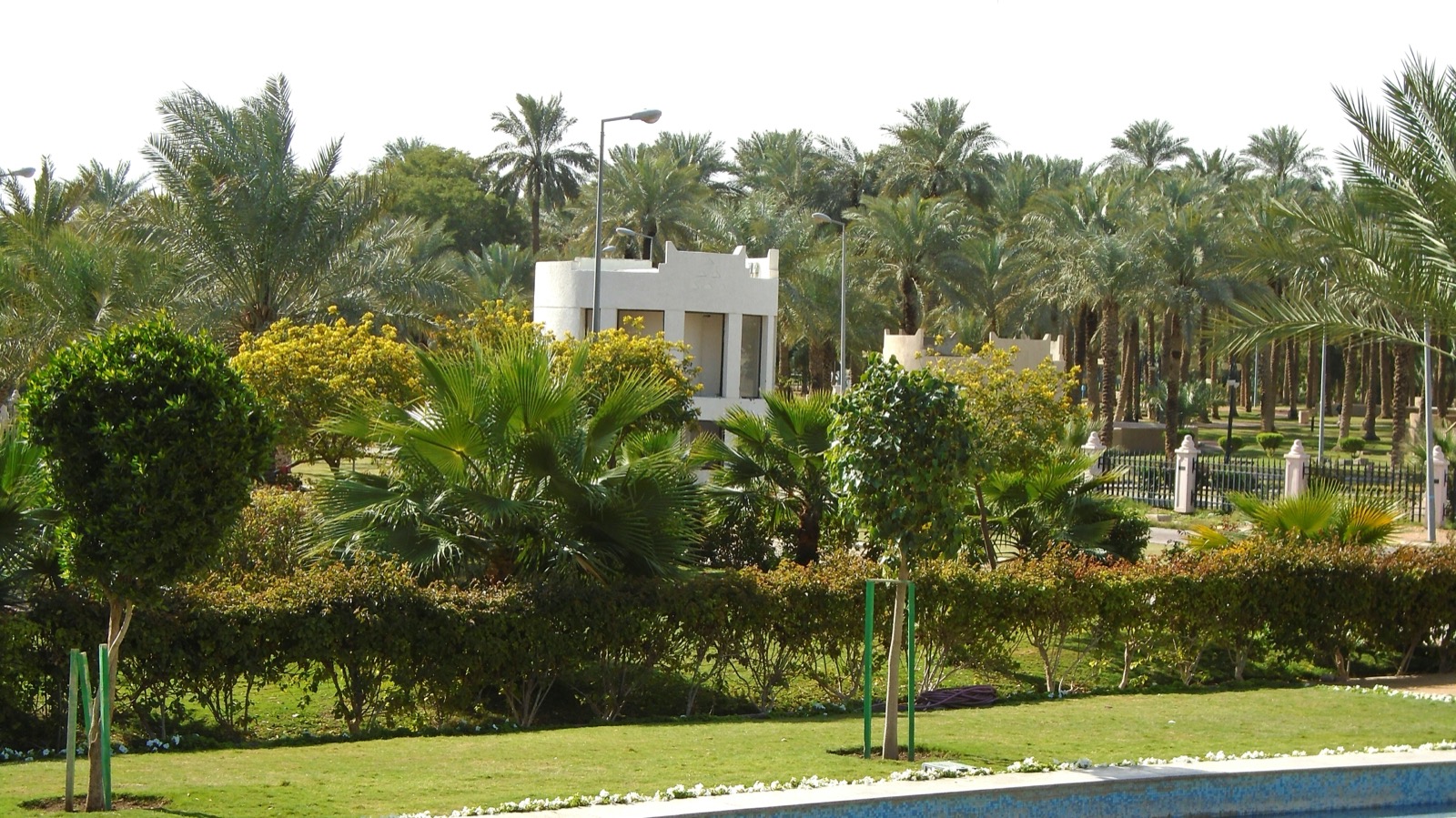 صورة العدد