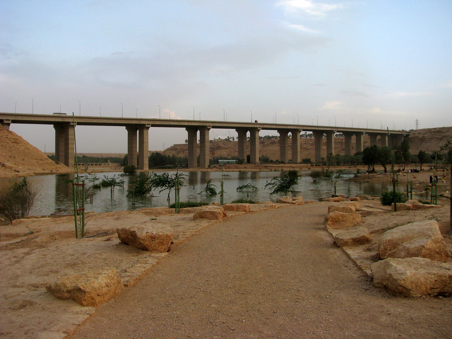 صورة العدد