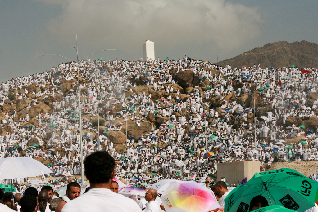 صورة العدد